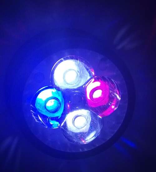 E27 12W LED BLUE  &  Full Spectrum with White AQUARIUM LED LIGHT