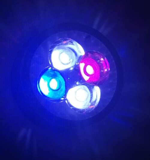 E27 12W LED BLUE  &  Full Spectrum with White AQUARIUM LED LIGHT