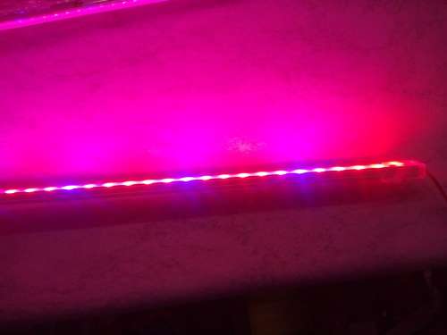 Samsung 5630 12Vdc open IP20  Aluminium Rigid Grow (Red & Blue) 1000mm strip ** In Stock