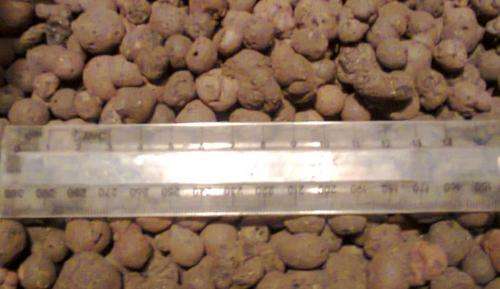 Light Expanded Clay Aggregate 10 - 20mm (one litre)