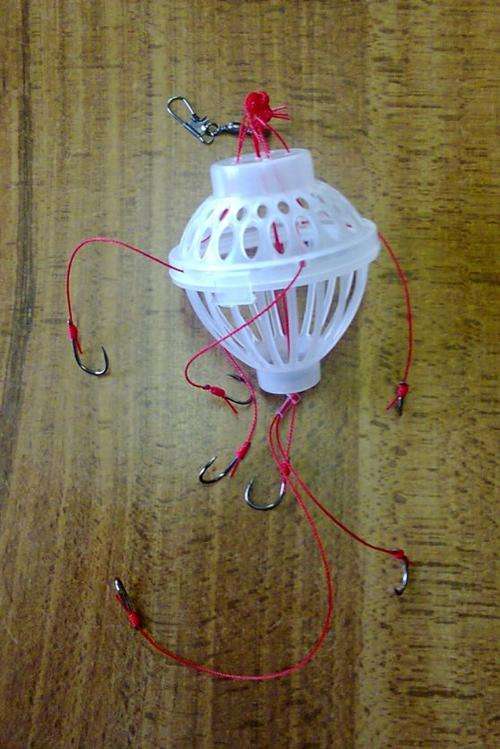 Bait Feeding Rig
