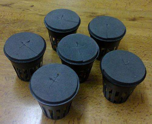 Plant collar for the 5 cm propagation (net) pot