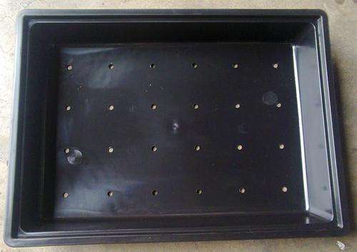 hydroponics Barley shoot sowing tray (350mm x 480mm) with holes