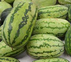 Congo Watermelon seed