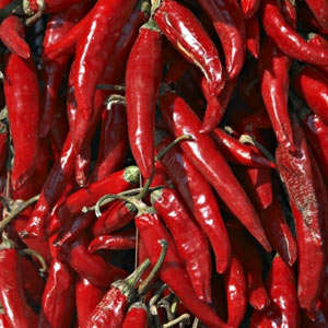 Capsicum Paprika Magenta seed