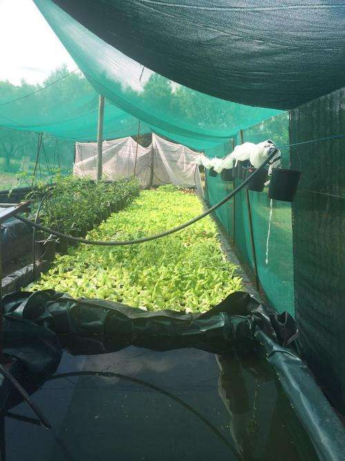 Hydroponic nutrient (hydroflow). Manufactured in South Africa