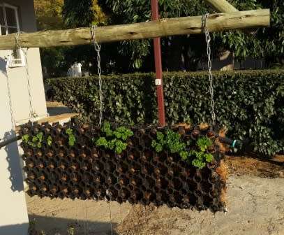 Aquaponic and hydroponic pot holder tray