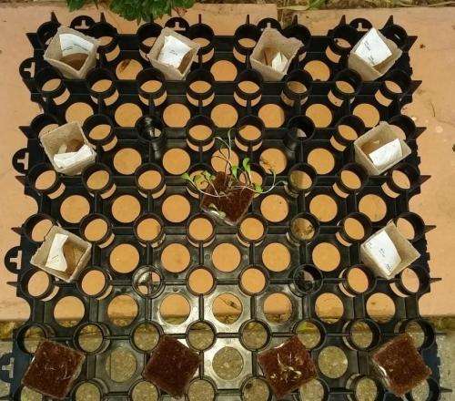 Aquaponic and hydroponic pot holder tray