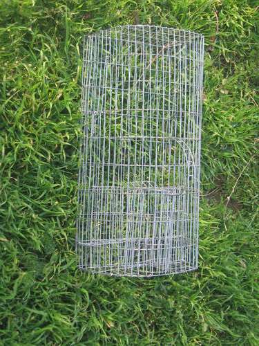 Cage Rat Trap