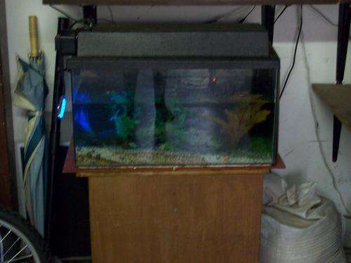 Fish Tank 615mm x 330mm x 330mm