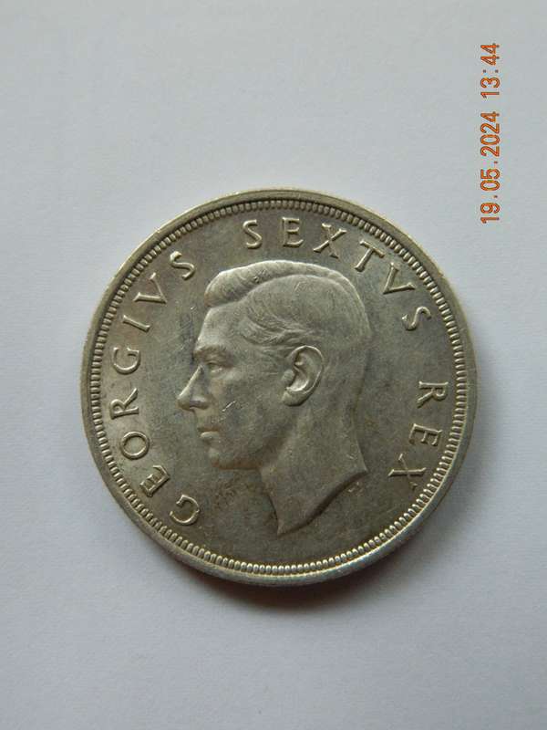 1950  S.A UNION  -  5 SHILLINGS COIN