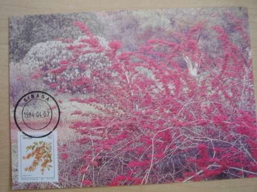 1984 Venda - Flame Creeper - Postcard + Block of 4 stamps MNH