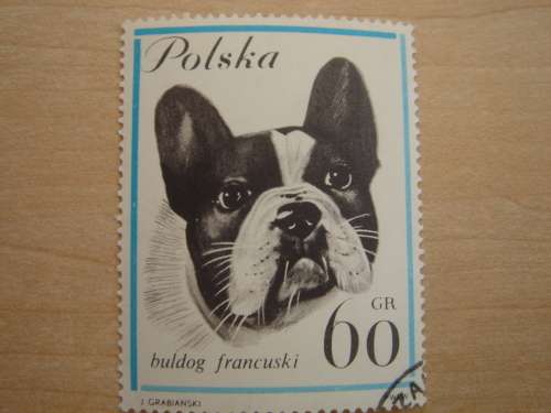 1963 Poland - Bulldog 60 GR MNH, stamped