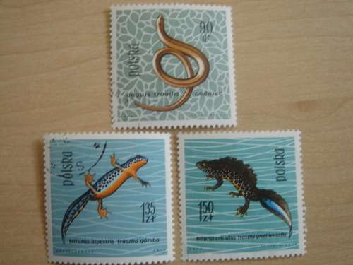 1963 Poland Reptiles 90,1.35,1.50 MNH stamped