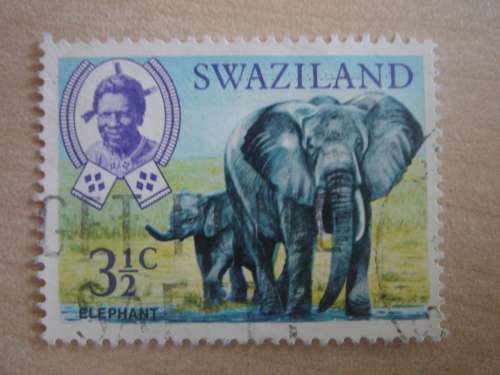 1969 Swaziland - Elephant 3 1/2 c used, stamped