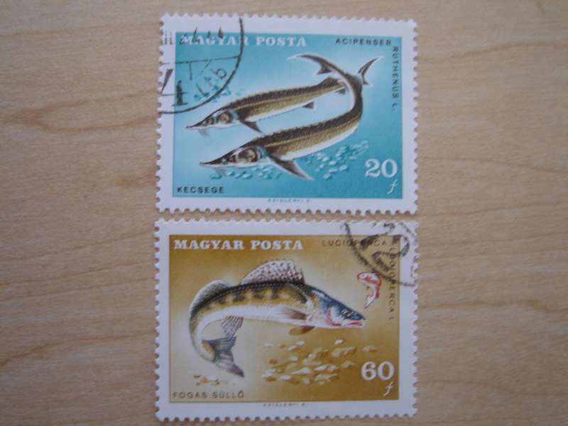 1967 Hungary - Fish 20,60f used, stamped
