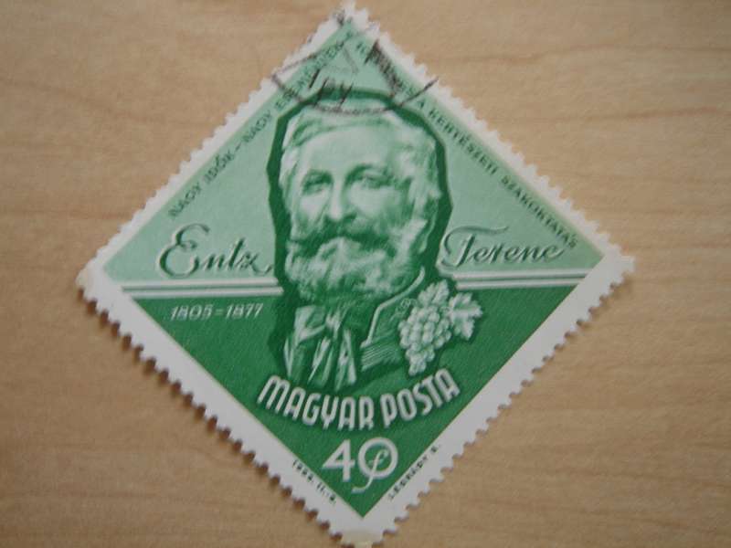 1963 Hungary - Ferenc Entz 40f used, stamped