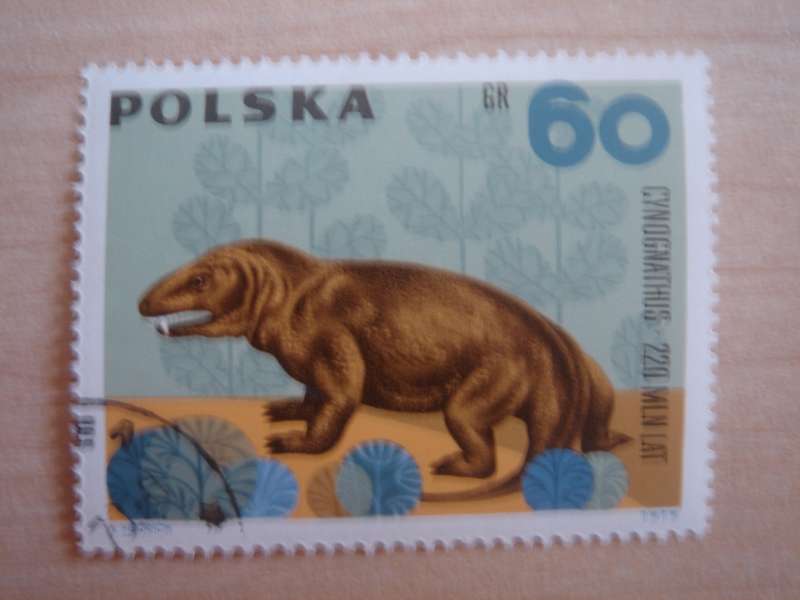 1966 Poland - Cynognatus 60 GR used, stamped