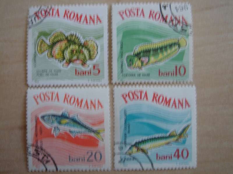 1964 Romania - Fish 5,10,20,40 Bani used, stamped