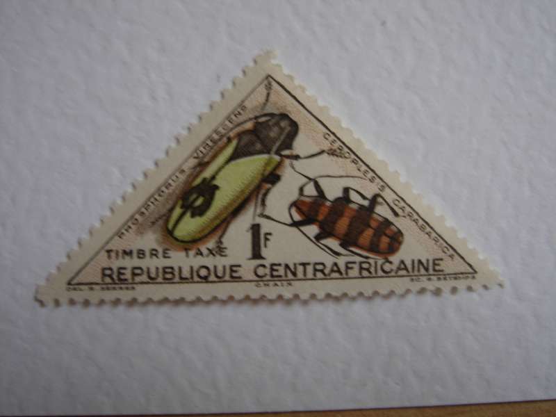 1962 Central African Republic - Beetles 1 F MNH