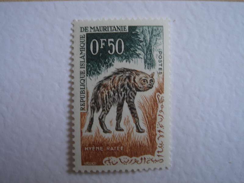 1963 Mauritania - Striped Hyena 0.50 F MNH