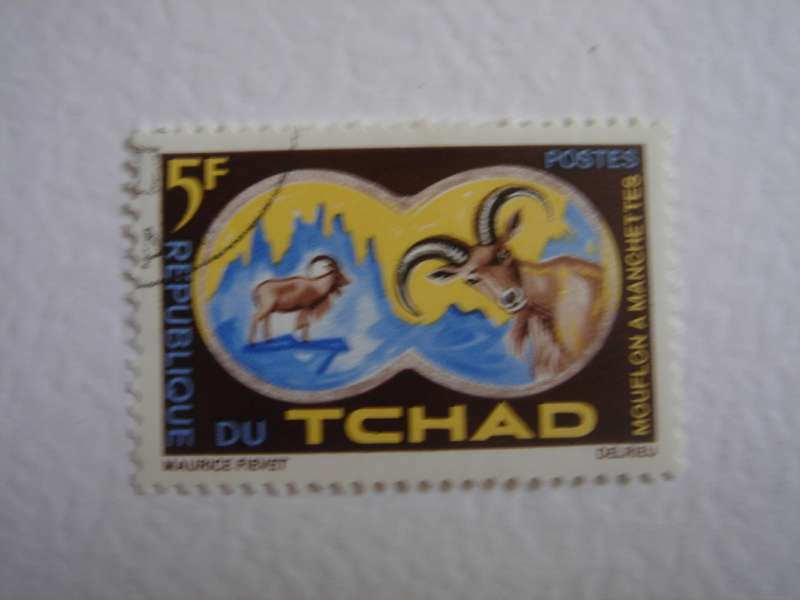 1964 Chad - Barbary Sheep 5 F MNH, stamped