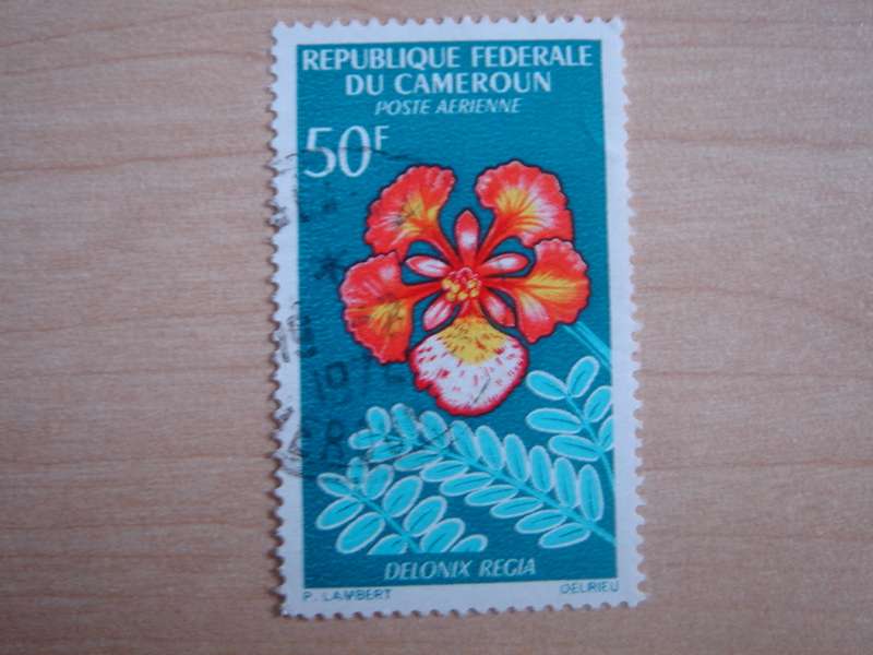 1966 Cameroon - Flower 50 F used, stamped