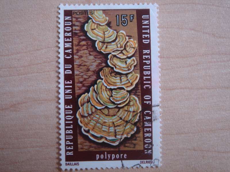 1975 Cameroon - Tree Fungus 15 F used, stamped