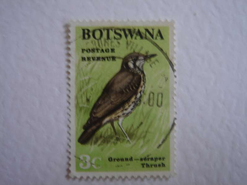 1967 Botswana - Ground-scraper Thrush 3 c used, stamped