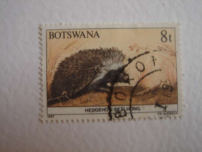 1987 Botswana - Hedgehog 8 t used, stamped
