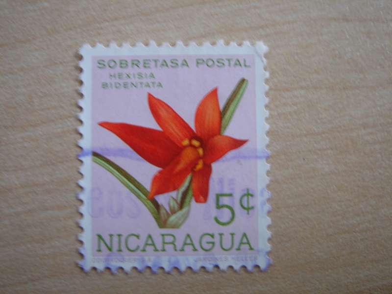1962 Nicaragua - Hexisia Bidentata 5 C used, stamped