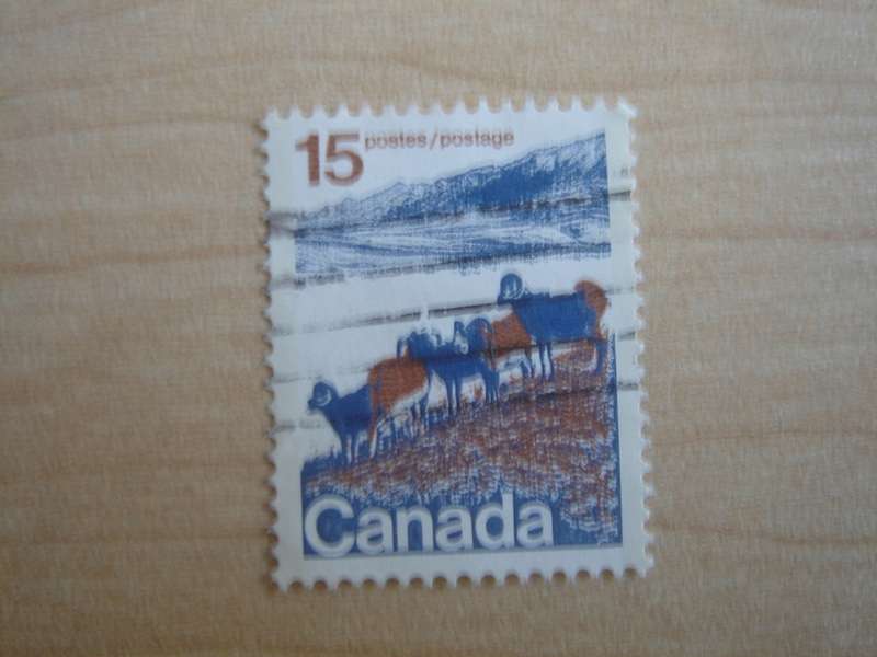 1973 Canada - Sheep 15 c used, stamped