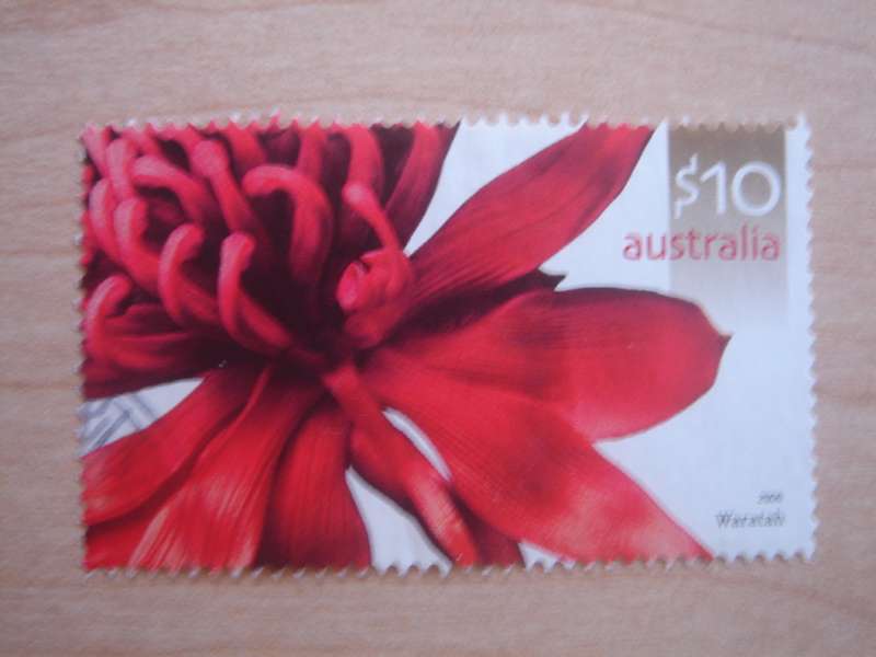 2006 Australia - Waratah Flower $10 used, stamped