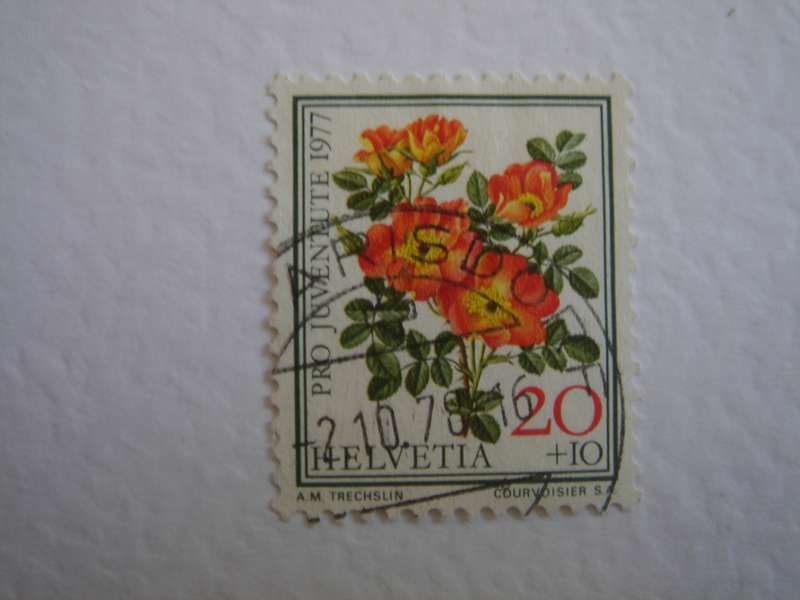 1977 Helvetia - Pro Juventute - Flower 20+10 used, stamped