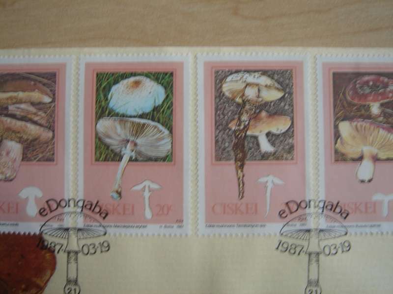 1987 Ciskei Fungi - 14,20,25,30 c on FDC