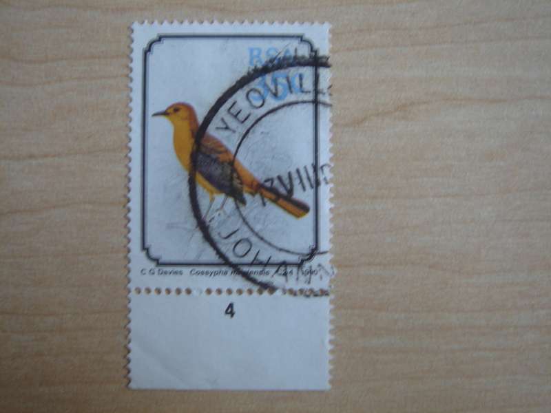 1990 RSA - Natal Robin 35 c used, stamped with border