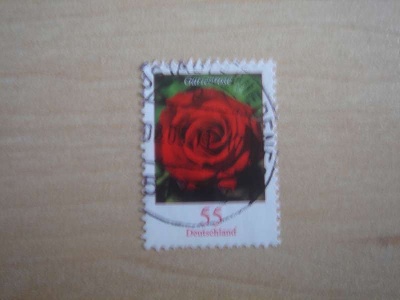 2008 Deutschland MiNr 2669 R used, stamped with number `385` on the back