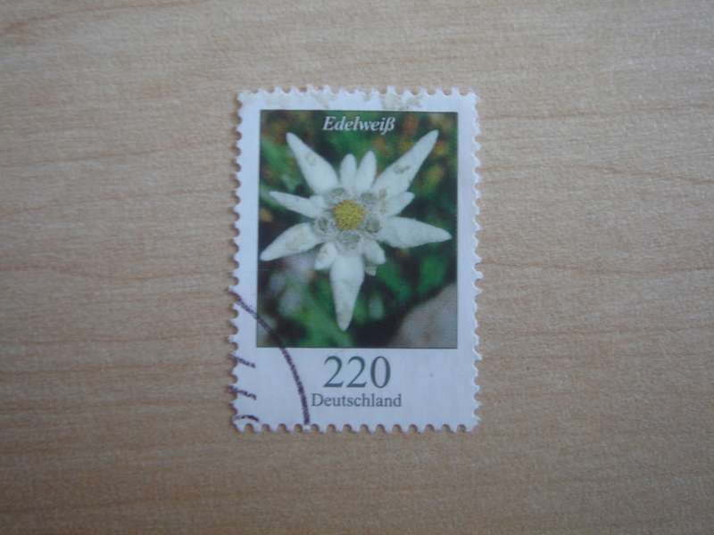 2006 Deutschland MiNr 2530 used, stamped