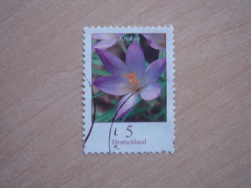 2005 Deutschland MiNr 2480 A R used, stamped with number `310` on the back