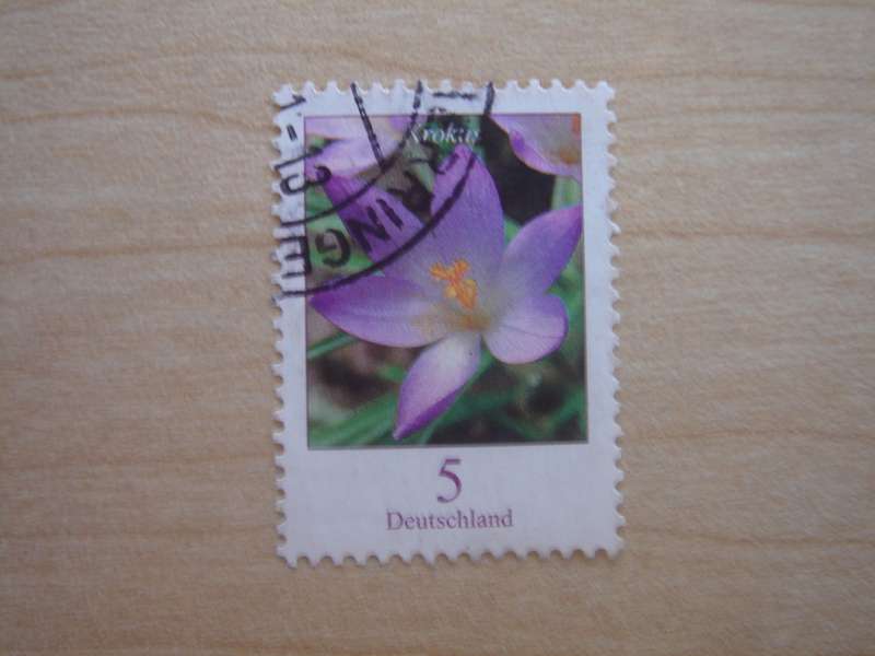 2005 Deutschland MiNr 2480 A used, stamped