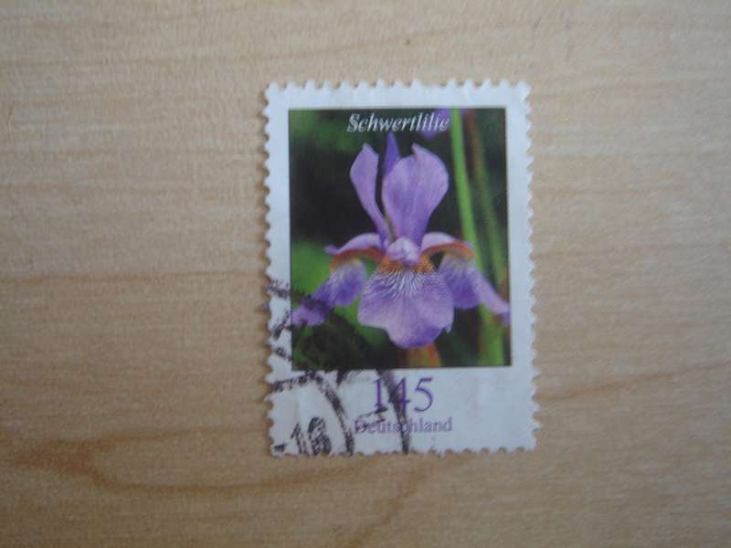 2006 Deutschland MiNr 2507 used, stamped