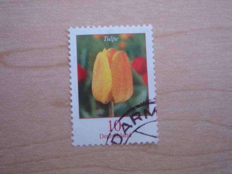 2005 Deutschland MiNr 2484 A used, stamped