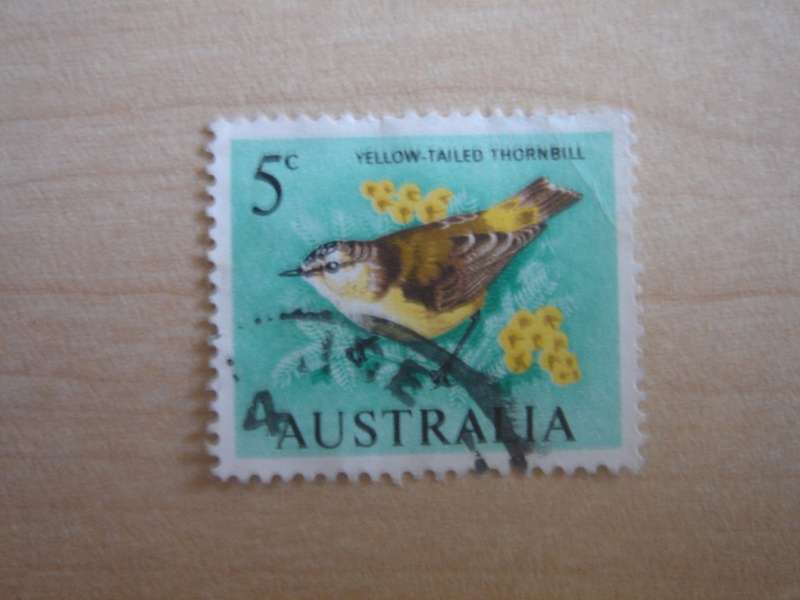 1966 Australia - Yellow-tailed Thornbill 5c used, stamped