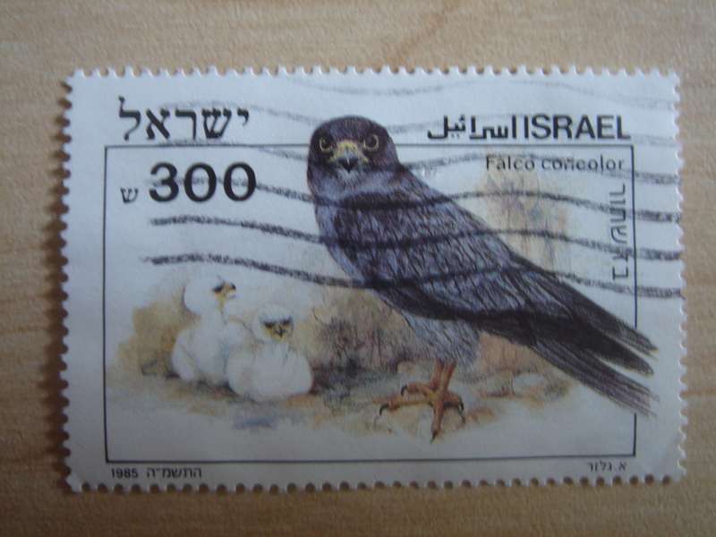 1985 Israel - Sooty Falcon 300 Tar used, stamped