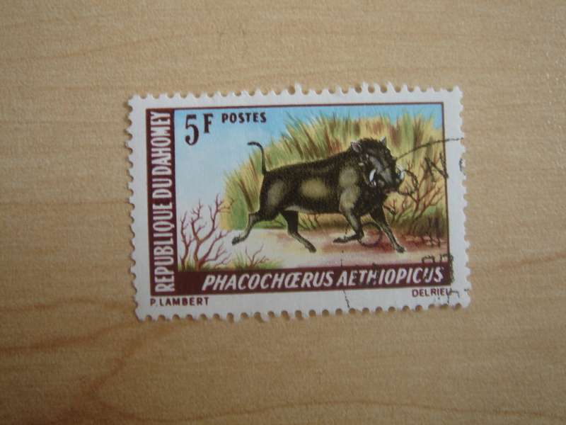 1969 Dahomey - Warthog 5 F used, stamped