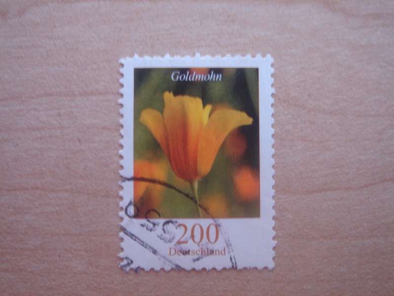 2006 Deutschland MiNr 2568 used, stamped
