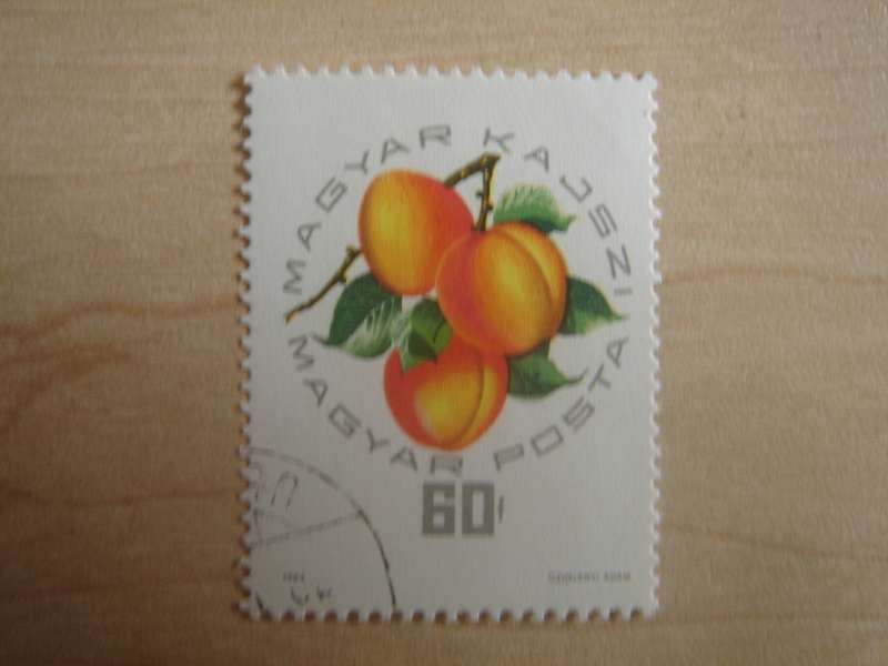1964 Hungary - Peaches 60 f used, stamped
