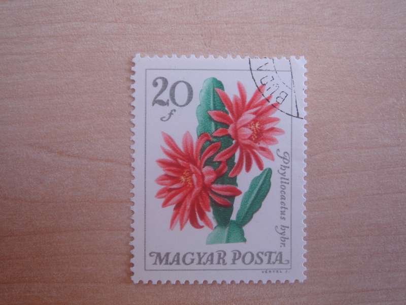 1965 Hungary - Flower 20 f used, stamped