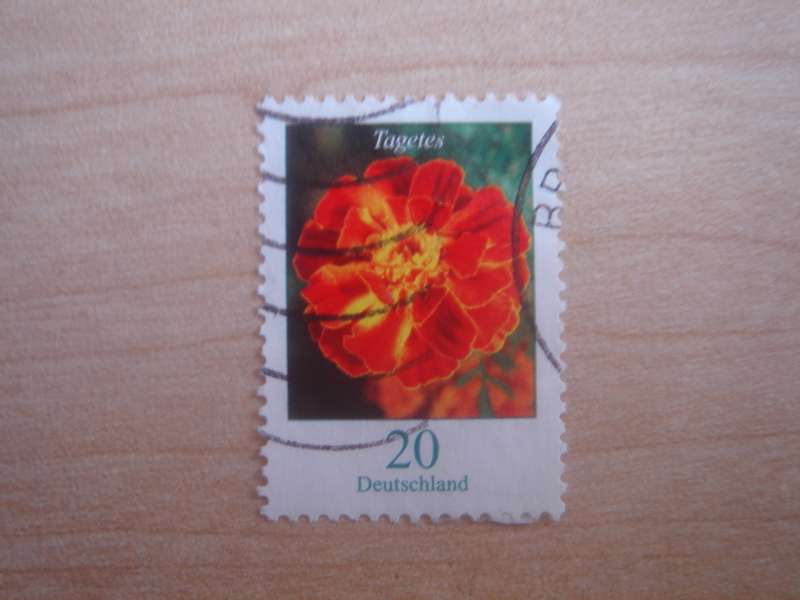 2005 Deutschland MiNr 2471 A used, stamped