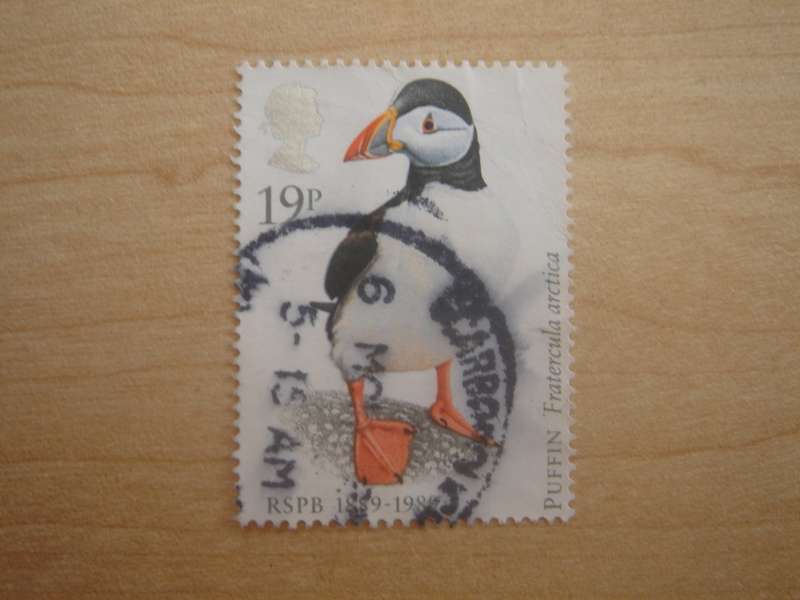1989 Great Britain - Puffin 19 P used, stamped